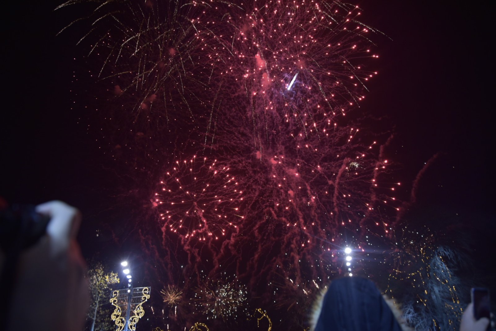 ЛУДА НОВОГОДИШЊА НОЋ У БЕОГРАДУ: Маја Беровић распаметила публику, а онда је уз Лепу Брену настао лом (ФОТО+ВИДЕО)