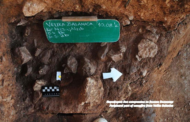 Србија била рајски врт преко којег је насељена Европа: Светски значајна открића наших археолога у Сићевачкој и Јелашничкој клисури