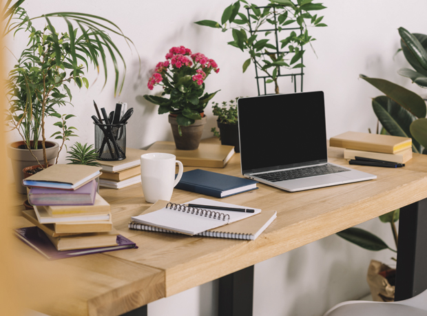 Набавите биљке у канцеларији: Доприносе здрављу, али и бољој атмосфери