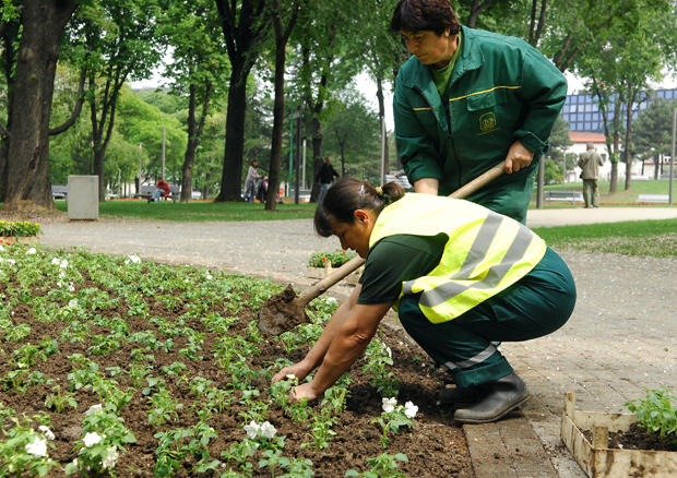Планира се изградња и обнова великог броја паркова у Београду: Зеленији за 6.500 стабала