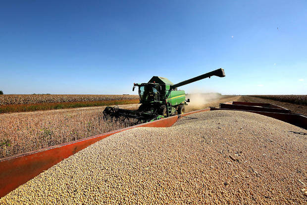 На шта спаде “житница Европе”: Србија УВОЗИ 30.000 тона ПШЕНИЦЕ из Мађарске