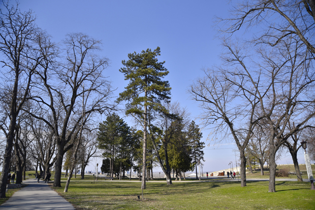 Временска прогноза: За викенд претежно сунчано и топло