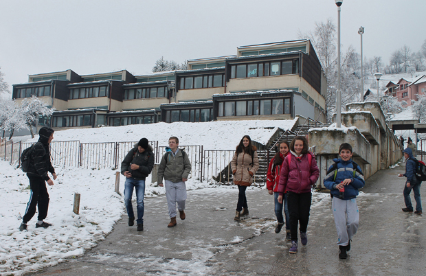 Хтели да дигну зајам за изградњу топлане на биомасу, па одустали: Скупа рата их одвратила од екологије