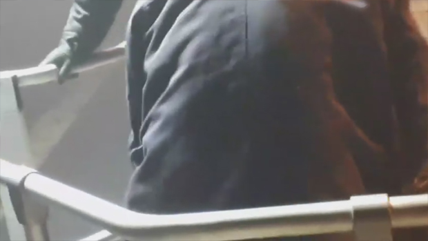 Драма близу границе са Србијом: Пас трагач спасао трудницу затрпану под кукурузом (ВИДЕО)