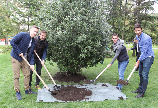 Апел Фондације Егзит: Пошумљавајте Србију, спречите сечу дрвећа