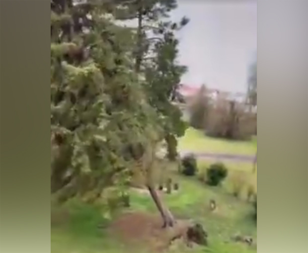 Невреме које хрли ка Србији стигло у Хрватску: Ветар чупао стабла, у Истри веје СНЕГ, метеоролози упозоравају на ретку појаву (ВИДЕО)