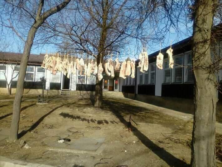 Радници РТБ Бора сушили месо на жици за веш (ФОТО)