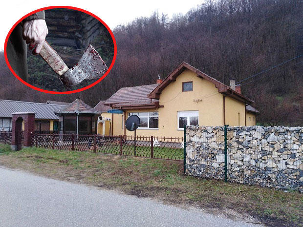 Михајлу (86) је Добрилу (74) ударио секиром, а потом избо ножем: Нови детаљи ЈЕЗИВОГ злочина код Јагодине