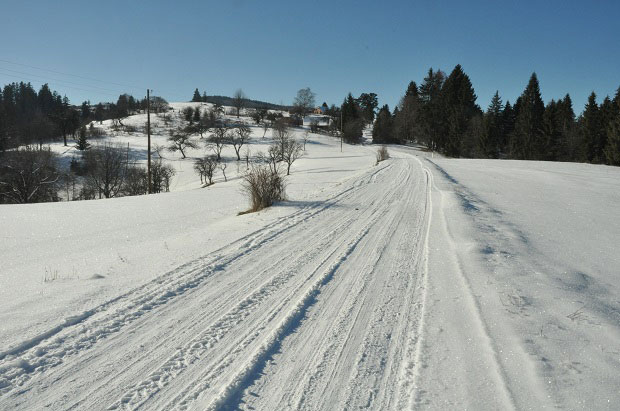 Због олује и мећаве која је погодила Србију евакуисана 41 особа