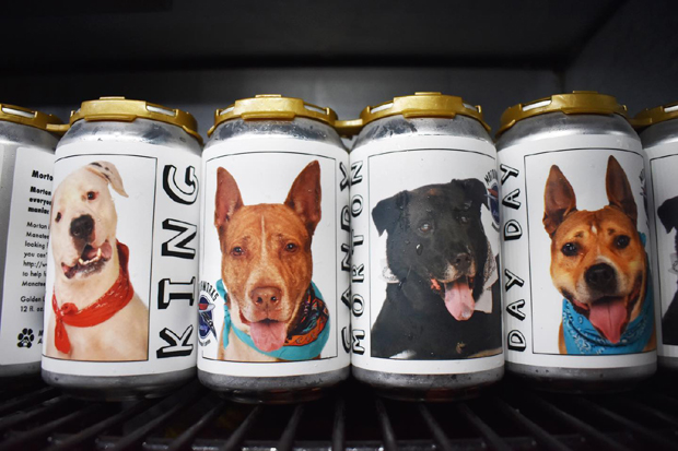 Жена поново са својим псом захваљујући конзерви пива