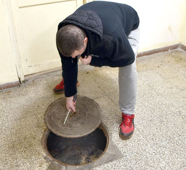 Стотине станара без топле воде: Корење дрвећа око зграда на Вождовцу пробило канализационе цеви, излиле се фекалије