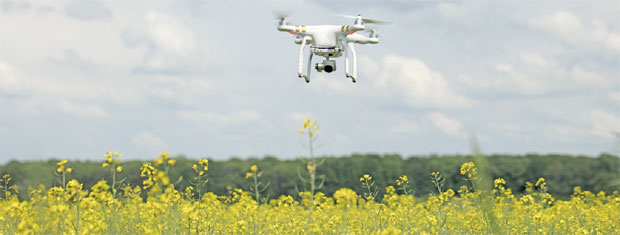 Српски софтвер за аграр иде у Дубаи: У Емиратима се боре за награду од 50.000 долара