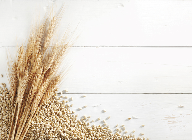 Кувана пшеница обавезна је у јеловнику: Ево како да је припремите