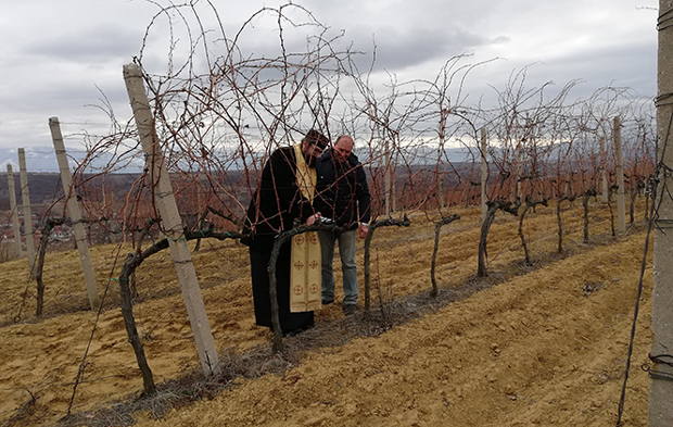Виноградари обележили Светог Трифуна: Аутохтоне сорте чувају вински идентитет Србије (ФОТО)