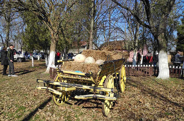 Домаће кобасице и по нека капљица мелем за живце: Више од 60 екипа из региона такмичило се у прављењу домаћих кобасица пред 10.000 посетилаца (ФОТО/ВИДЕО)