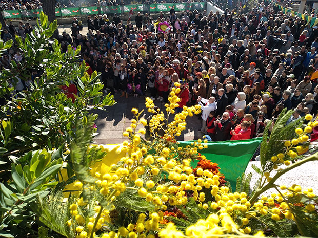 Време мимоза у Херцег Новом: Празник почео концертом Лепе Брене, дошло више од 20 хиљада гостију (ФОТО)