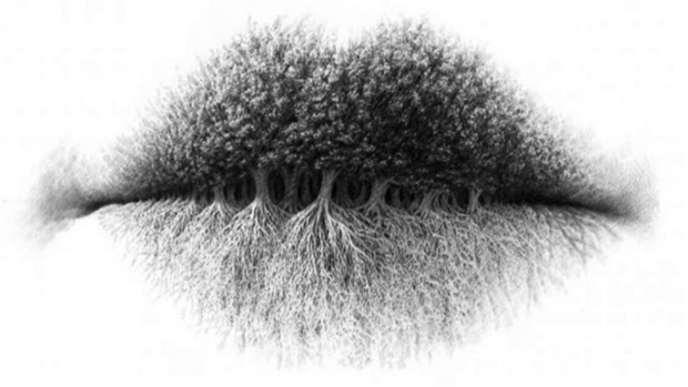 Погледајте фотографију: Оно што прво видите пуно говори о вама