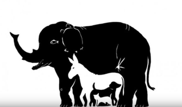 Колико ЖИВОТИЊА видите на овој фотографији? Одговор ће открити да ли имате једну посебну ОСОБИНУ 