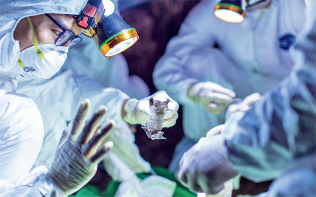 Корона ПОБЕГЛА из лабораторије надомак пијаце у Вухану? Најновија теорија завере о настанку смртоносног вируса кружи Француском