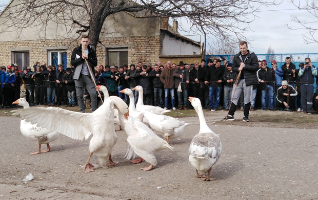 Арапад скинуо Цезара са трона: У Мокрину одржана 34 “Гусанијада” (ФОТО/ВИДЕО)