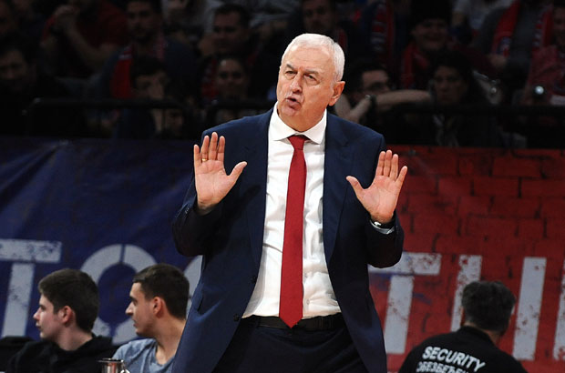 Звезда без тренера у Виторији: Шакота остаје у Београду, Лукас дебитује против Басконије