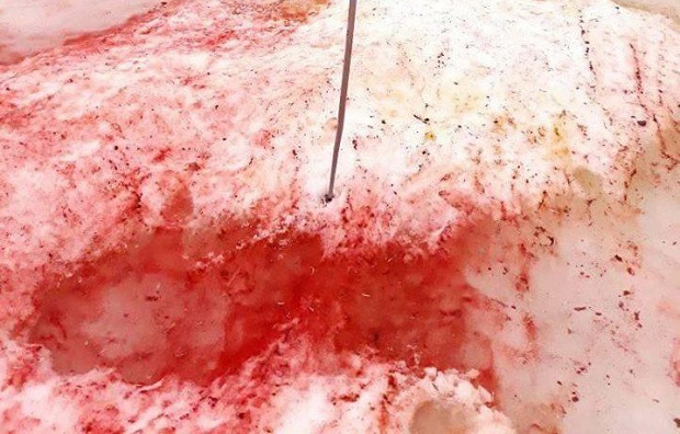 “Крвави снег окружио научнике, још је чудније како мирише: Погледајте сцене из хорор филма на Антарктику (ФОТО) 