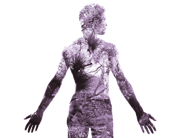 И свеци и покварењаци: Све што нисте знали о Рибама