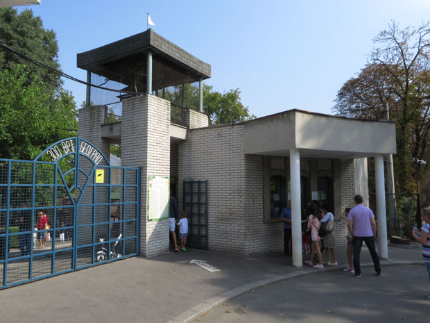 Зид се обрушио на радника, извлачили га више од сата, није му било спаса!: Несрећа у Бео зоо врту, Хитна могла само да констатује смрт!