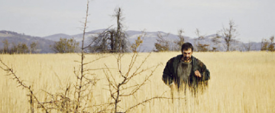 Држава је највећи продуцент: Јелена Триван о резултатима Филмског центра Србије