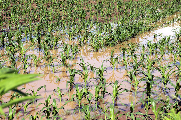 Процена штете прекасно стиже: Премало осигураних ораница