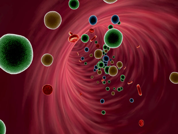 Стоп старењу: Руски научници на прагу револуционарног открића