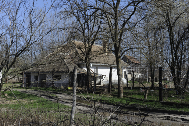 Комшије му помогле да се скући, а он им напаствовао сина (6): Детаљи ужаса у Падинској Скели, кад је видео да не може да побегне исекао вене 