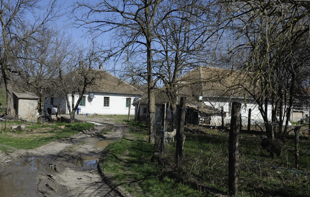 Шта се све открило после покушаја обљубе дечака (6) у Глогоњском риту: Чобанин и раније нападао?