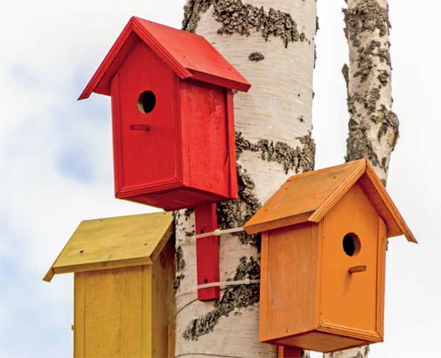 Забавно и корисно: Направите са децом кућицу за птице