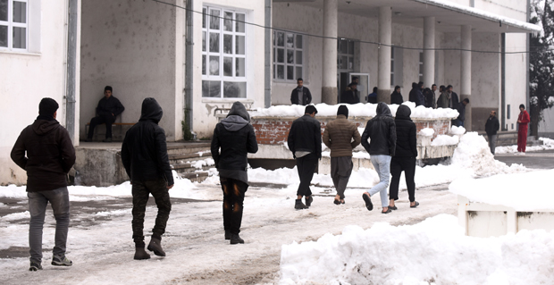 Сиријске избеглице из Бујановца - болничари, радници, занатлије - понудиле своје услуге: И мигранти помажу Србији