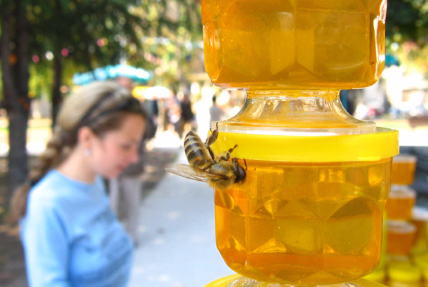 Мед добија борбу са вирусом