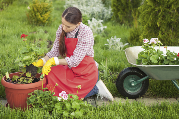 Искористите слободно време: Пуне руке посла у башти, прионите на посао
