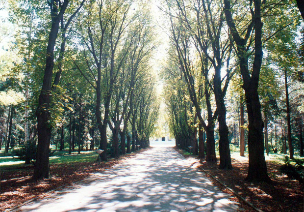 Предстоје невоље алергичнима: Опрезно, проширио се полен