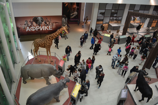 До публике преко мрежа: Презентације музеја из Поморавља на “клик”