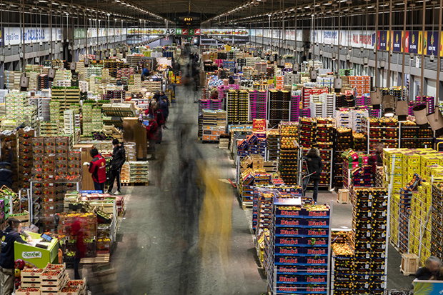 Мртвачница на пијаци: Погребне фирме не могу да се носе са таласом короне