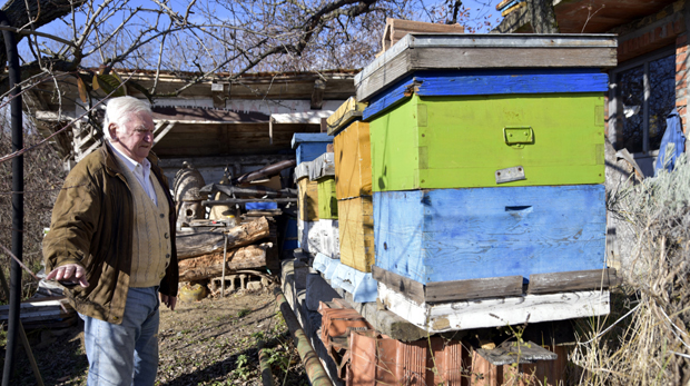 Полиција не издаје дозволе старијима од 65 година да обилазе кошнице: Више не могу да обиђу пчеле