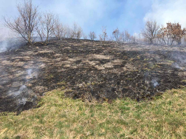 Пожар на Фрушкој Гори: Излетници ЗАПАЛИЛИ 10 хектара ливаде (ФОТО)