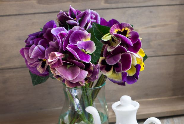 Мирисни чувар здравља: Љубичица смирује упале и прија кожи