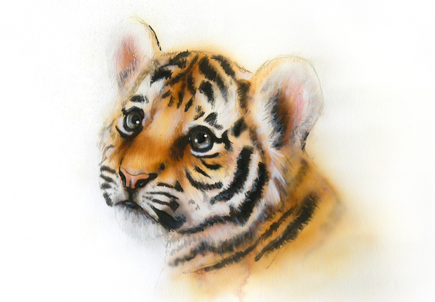 Први тигар у свету заражен короном