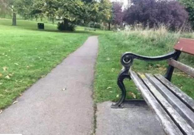 Видите ли пса на овој фотографији? Толико се добро САKРИО да је постао омиљен на Фејсбуку (ФОТО)