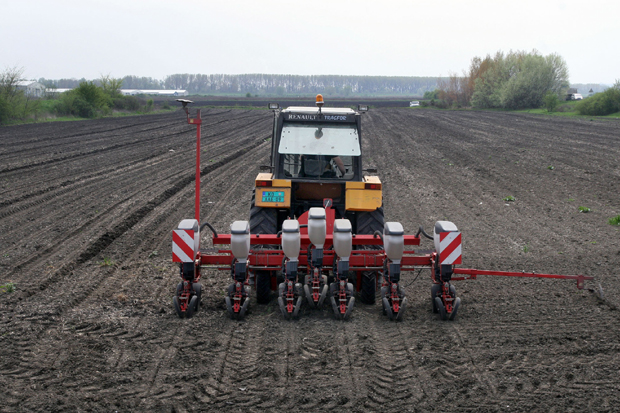 Сетва кукуруза у Србији почиње ове седмице: Семе чекало топлије оранице