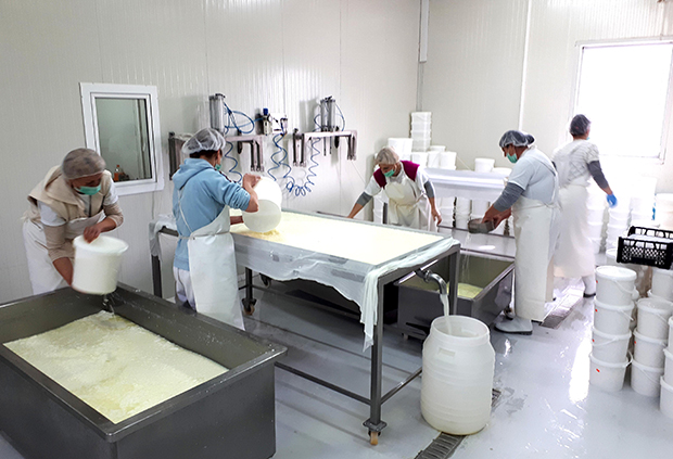 Муке сточара у Србији: Затворени угоститељски објекти и пијаце, сир и кајмак сад чекају купце