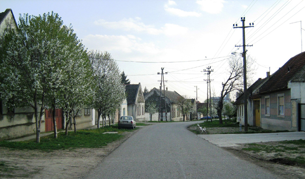 Мислили смо - неће вирус у наше село: Новости са мештанима Сивца, које је изненадила пандемија короне 