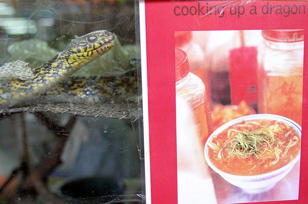 Затвара се чувени змијски ресторан у Хонг Конгу