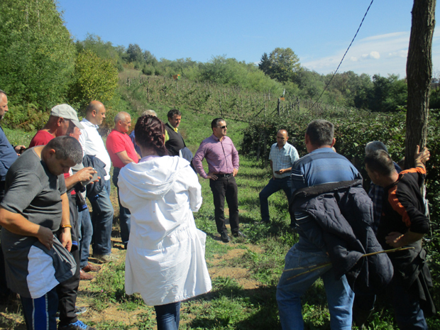 Пандемија угрозила бербу, прераду и продају, држава мора да помогне воћарима
